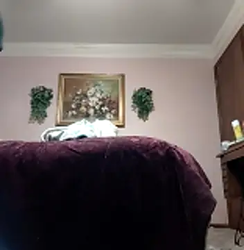 vanscr1 online show from November 14, 2025, 12:53 pm