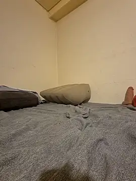 fox--3 online show from February 10, 2026, 4:55 am