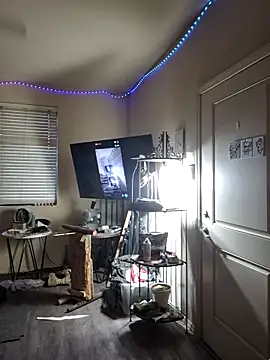 Snapshot of lit702 chatting on February 4, 2026, 12:16 am lit702 online show from February 4, 2026, 12:16 am