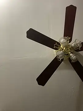 islandvybee55 online show from April 24, 2026, 3:14 pm