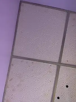 Nicol1997 online show from February 1, 2026, 8:29 pm