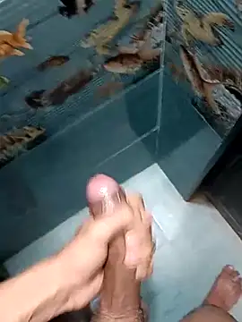 Snapshot of Mr_joh chatting on February 7, 2026, 5:26 am Mr joh online show from February 7, 2026, 5:26 am