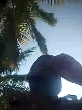 Snapshot of bulunchu chatting on December 19, 2024, 4:02 am bulunchu online show from December 19, 2024, 4:02 am