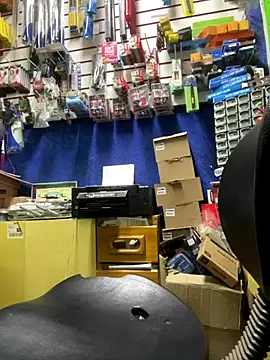 Sheik z o online show from October 6, 2025, 2:29 pm