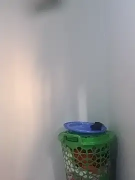 BriannaVincent online show from February 5, 2026, 4:41 am