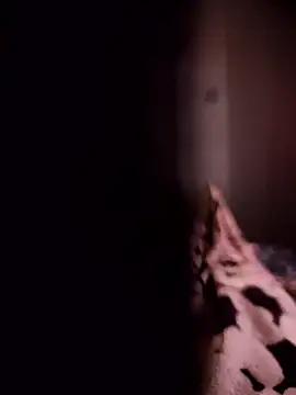 Maxpor77 online show from January 9, 2026, 10:55 am