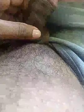 black panth99 online show from October 13, 2025, 9:00 am