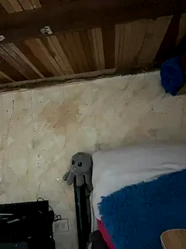 SophiaWeestt99 online show from November 15, 2025, 2:15 am