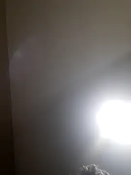 Colorao4 online show from November 25, 2025, 7:47 pm