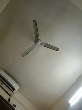 Palak 4u online show from March 26, 2026, 6:55 am