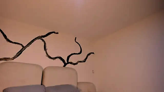 EthanTravis  online show from February 11, 2025, 7:33 am