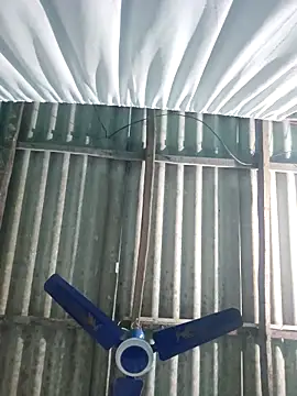 hotbaby 5 online show from November 5, 2025, 4:10 pm