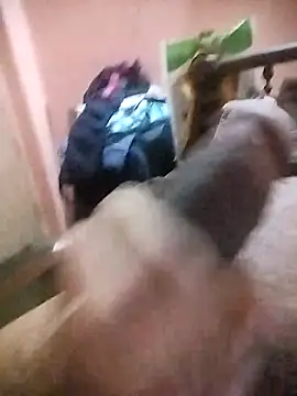 tamil horny09 online show from December 20, 2025, 11:13 am