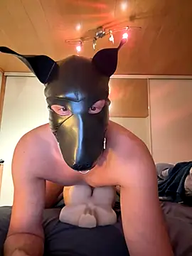 PlayDog123 online show from November 27, 2025, 4:40 pm