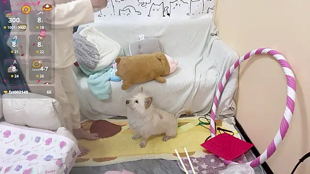 Snapshot of Supassra_Sp chatting on January 25, 2025, 2:03 pm Supassra Sp online show from January 25, 2025, 2:03 pm