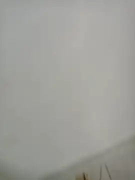 Elber24 online show from December 4, 2025, 4:33 am