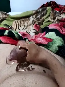 Snapshot of 01kirito chatting on February 28, 2026, 11:04 pm 01kirito online show from February 28, 2026, 11:04 pm