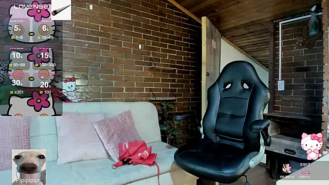 meow mota online show from November 29, 2025, 8:53 pm