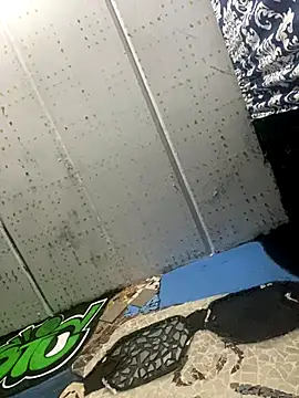 macg96 online show from October 26, 2025, 3:51 am