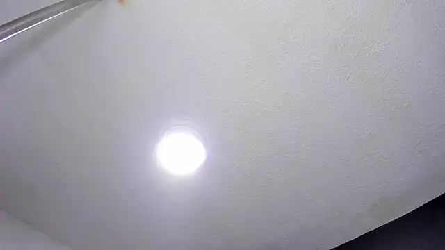 ZachaTompson online show from December 17, 2025, 8:36 pm