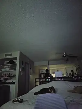 Snapshot of DevilDahm chatting on February 9, 2026, 5:49 am DevilDahm online show from February 9, 2026, 5:49 am