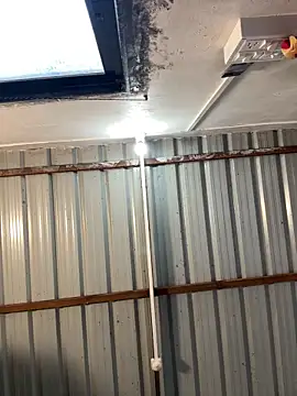 xyztopbeing online show from January 4, 2025, 11:54 am