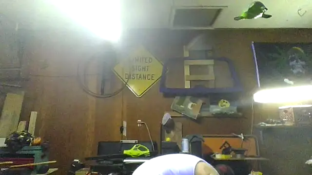 clitstitsandbongrips online show from November 16, 2025, 12:04 am