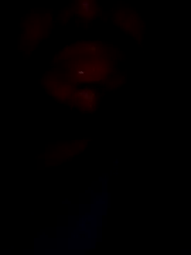 Snapshot of mohitsexy12 chatting on December 8, 2024, 5:33 pm mohitsexy12 online show from December 8, 2024, 5:33 pm