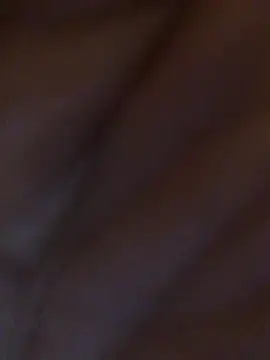 Snapshot of Inseminator69 chatting on December 14, 2024, 11:07 am Inseminator69 online show from December 14, 2024, 11:07 am