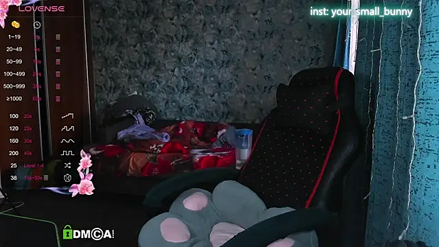 Your small bunny online show from September 30, 2025, 2:50 am