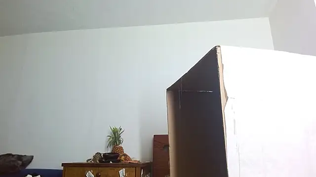 Party trans online show from December 14, 2024, 10:39 pm