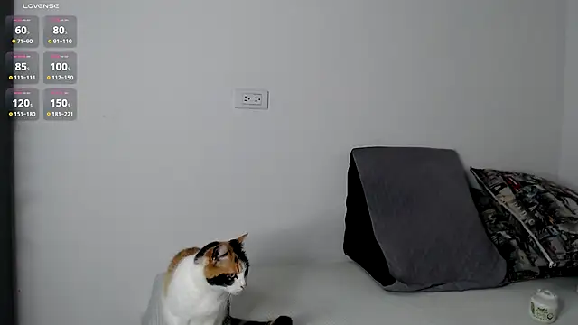 gigilovedback online show from September 19, 2025, 11:20 pm