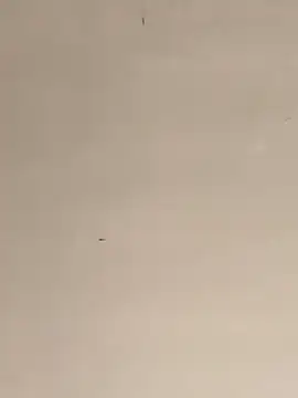 lukitassssssssssssss online show from January 1, 2025, 7:53 pm