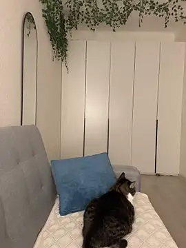  SweetCandyy online show from October 8, 2025, 7:14 pm