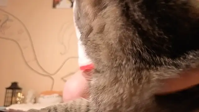 such juicee online show from April 5, 2026, 7:20 pm