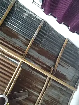 royaldoll-143 online show from December 26, 2024, 3:42 pm