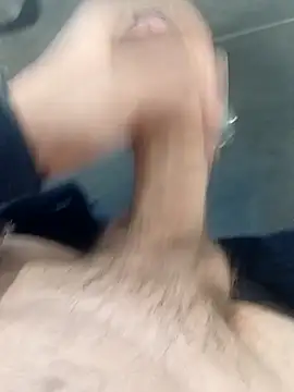 Piroca meladinha online show from February 3, 2026, 4:10 am