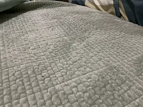 wistonchang2006 online show from November 29, 2025, 10:15 am