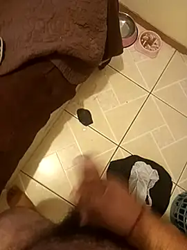 pedritolobito online show from January 17, 2025, 4:36 pm