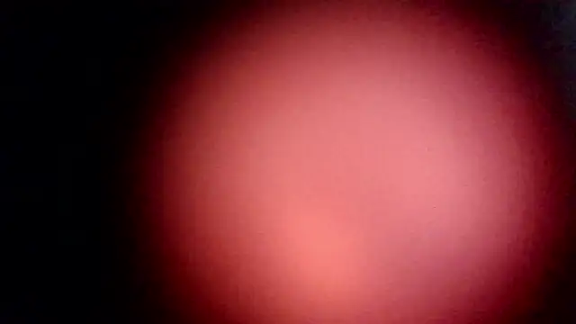 modenq online show from March 20, 2026, 2:29 pm