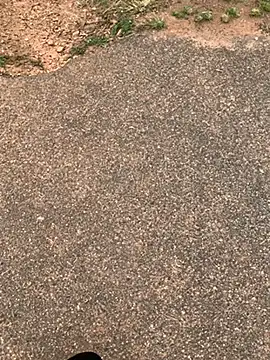 Black mamba madingo online show from February 15, 2025, 12:11 pm