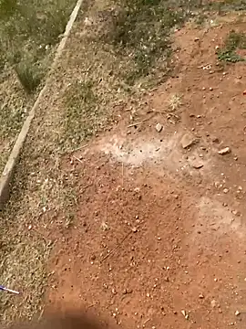 Black mamba madingo online show from February 21, 2026, 9:44 am