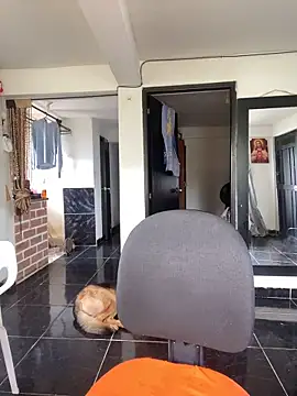 Edward Milleer online show from November 3, 2025, 4:32 pm