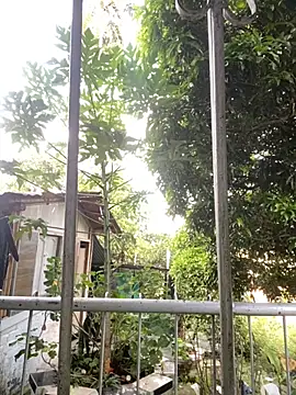 Jestebanano online show from September 22, 2025, 12:00 pm