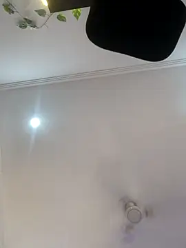 Archi-07 online show from October 24, 2025, 8:13 am