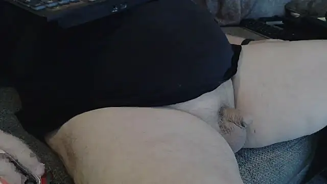 bud4party online show from November 30, 2025, 2:45 am