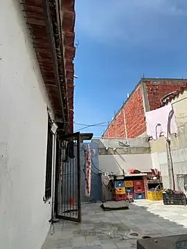 Leo bunny hot online show from October 2, 2025, 6:44 pm