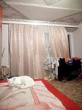 Aria  Dark online show from October 16, 2025, 8:06 pm