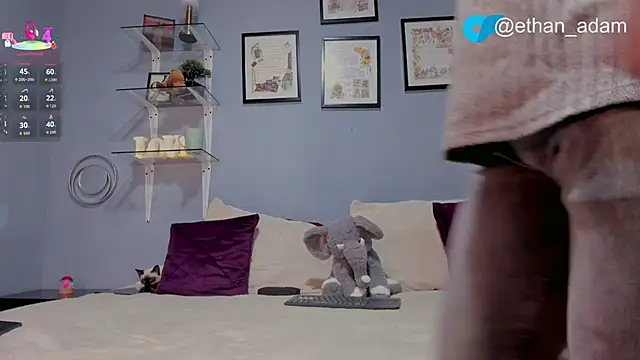 Snapshot of ETHAN_ADAM chatting on February 5, 2026, 12:50 am ETHAN ADAM online show from February 5, 2026, 12:50 am