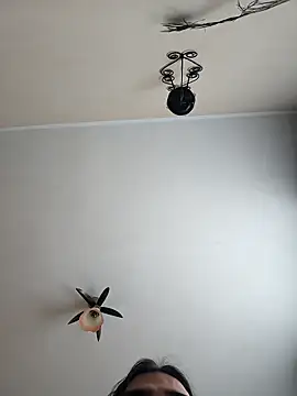 vulpe8400 online show from April 19, 2026, 11:11 am